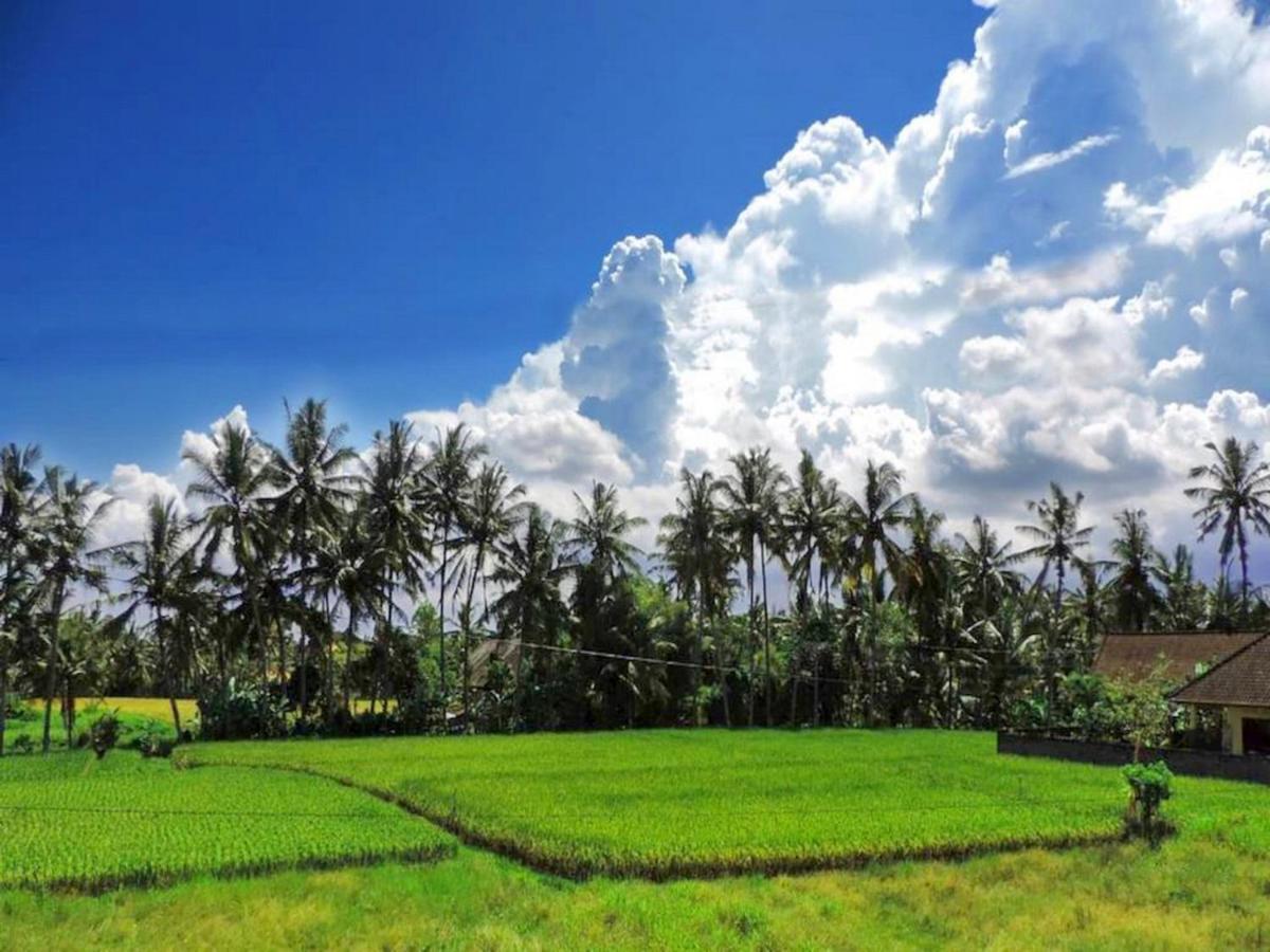 Pondok Ayu Soca Ubud Exteriér fotografie